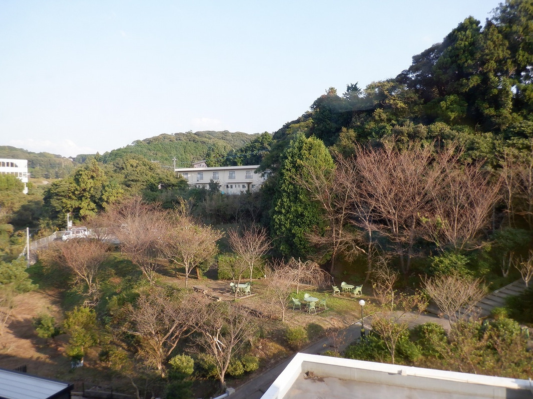 客室からの眺め