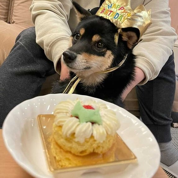 kuromame_ranmaruさんの写真 / 1