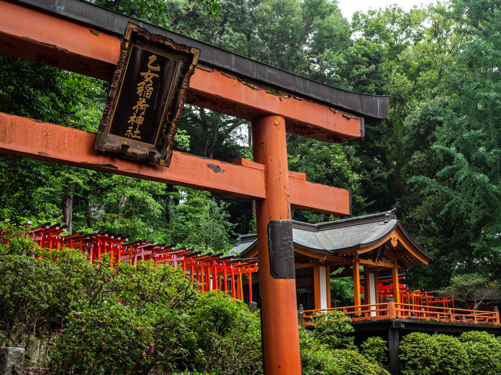 千本鳥居にドキドキ。約1900年の歴史を持つ名社2220607