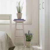 infinity AGENA（沖縄県 別荘・ヴィラ・コンドミニアム） / 4