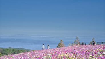 あわじ花さじき / 2