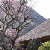 離れ家 石田屋（静岡県 旅館） / 5