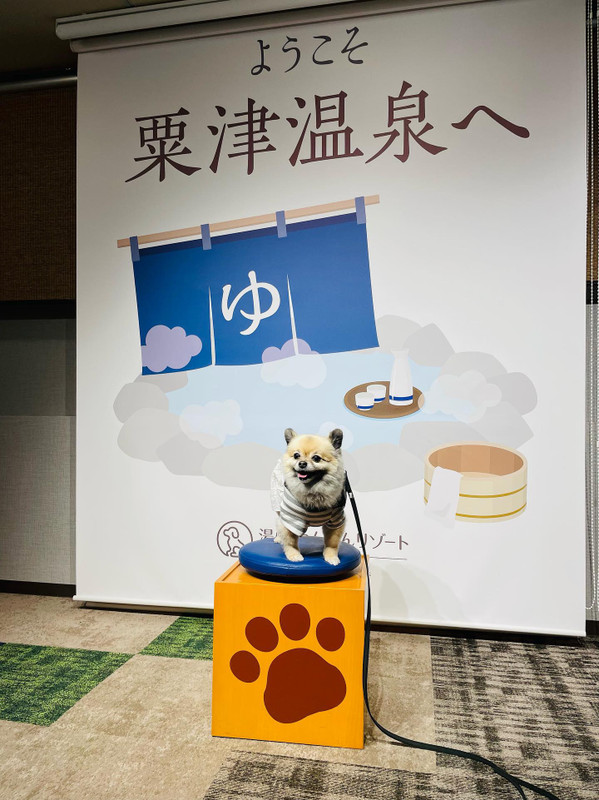 k_chirashi_さんの写真 / 2