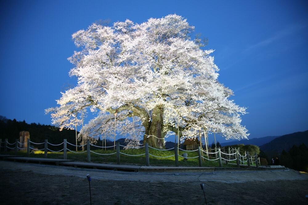 マウンテン ビュー