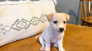 施設内の設備 / 4