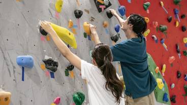 ロッククライミング用の壁 - 屋内 / 23