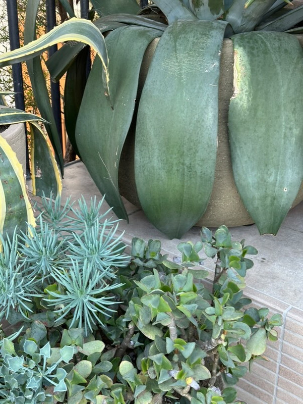 newn0819さんの写真 / 4