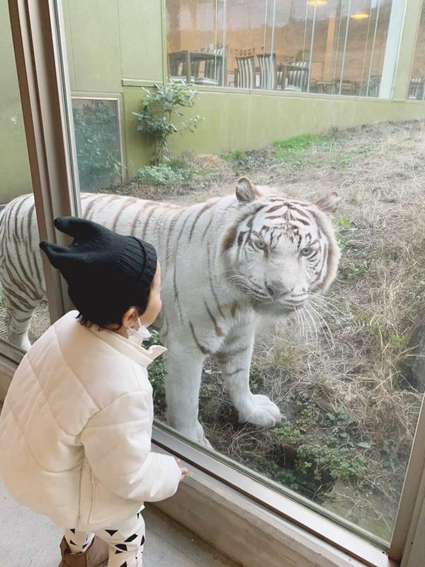 suzuranribbonさんの写真 / 1