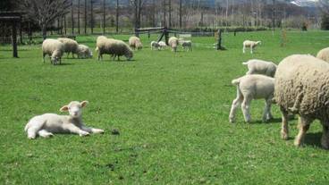 施設の敷地 / 11