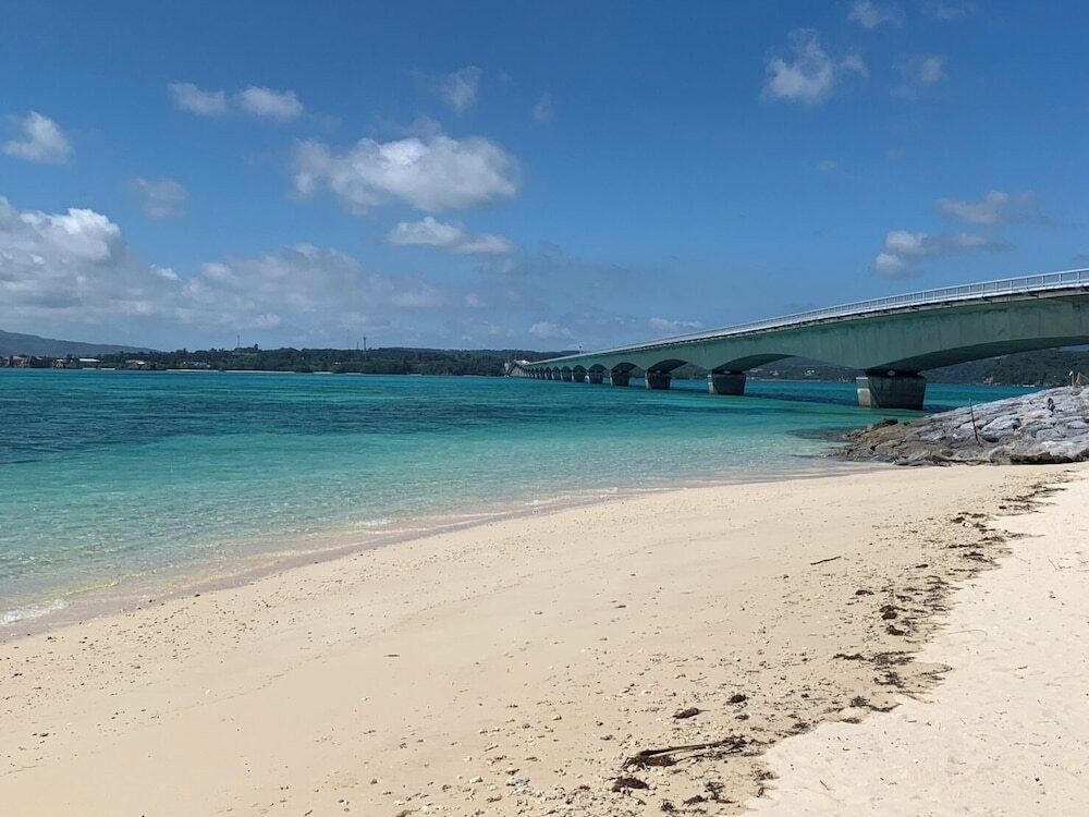 子供向けアクティビティ