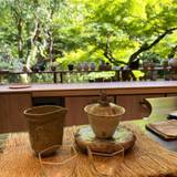 帰去来・お茶 / 2