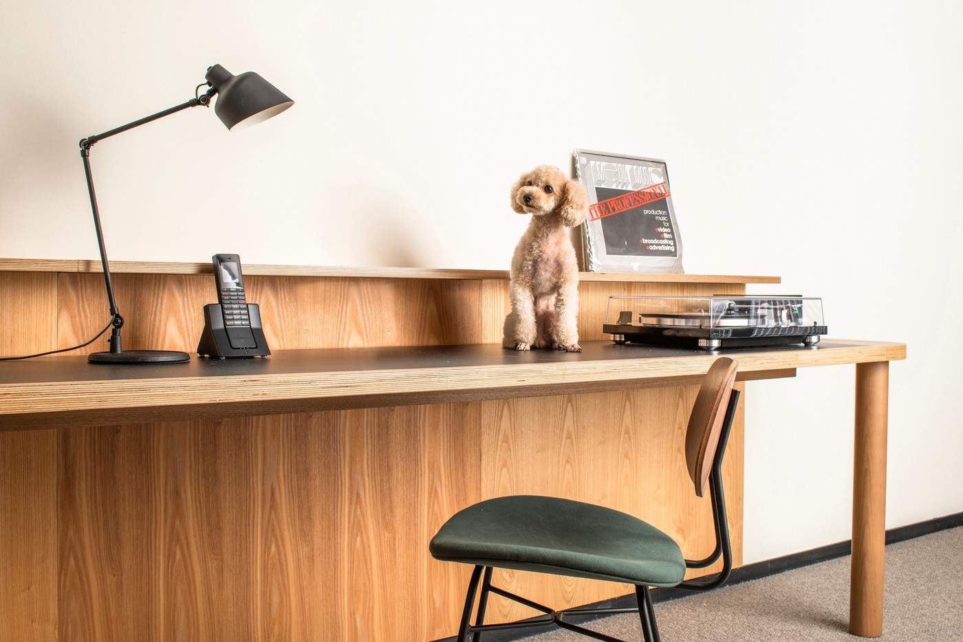 「スタンダードキング」と「デラックスツイン」がワンちゃんOKルーム3372617