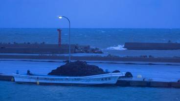 ビーチ / オーシャン ビュー / 10