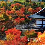 【石川】金沢観光でパワースポット巡り♪金沢近郊のおすすめ神社とお寺10選