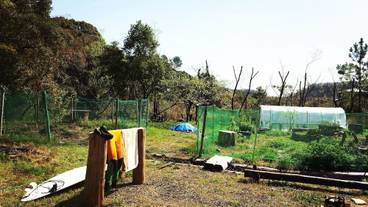 子供用の遊び場 - 屋外 / 5