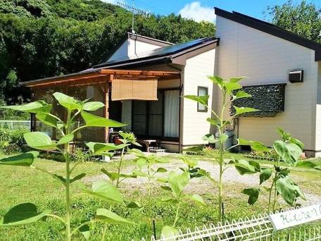 キッチンガーデン / 1