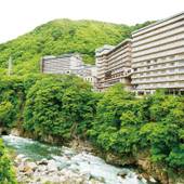 大江戸温泉物語 ホテル鬼怒川御苑（栃木県 旅館） / 4