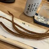 美登利（ミドリ）