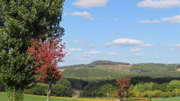 施設からの眺望 / 8