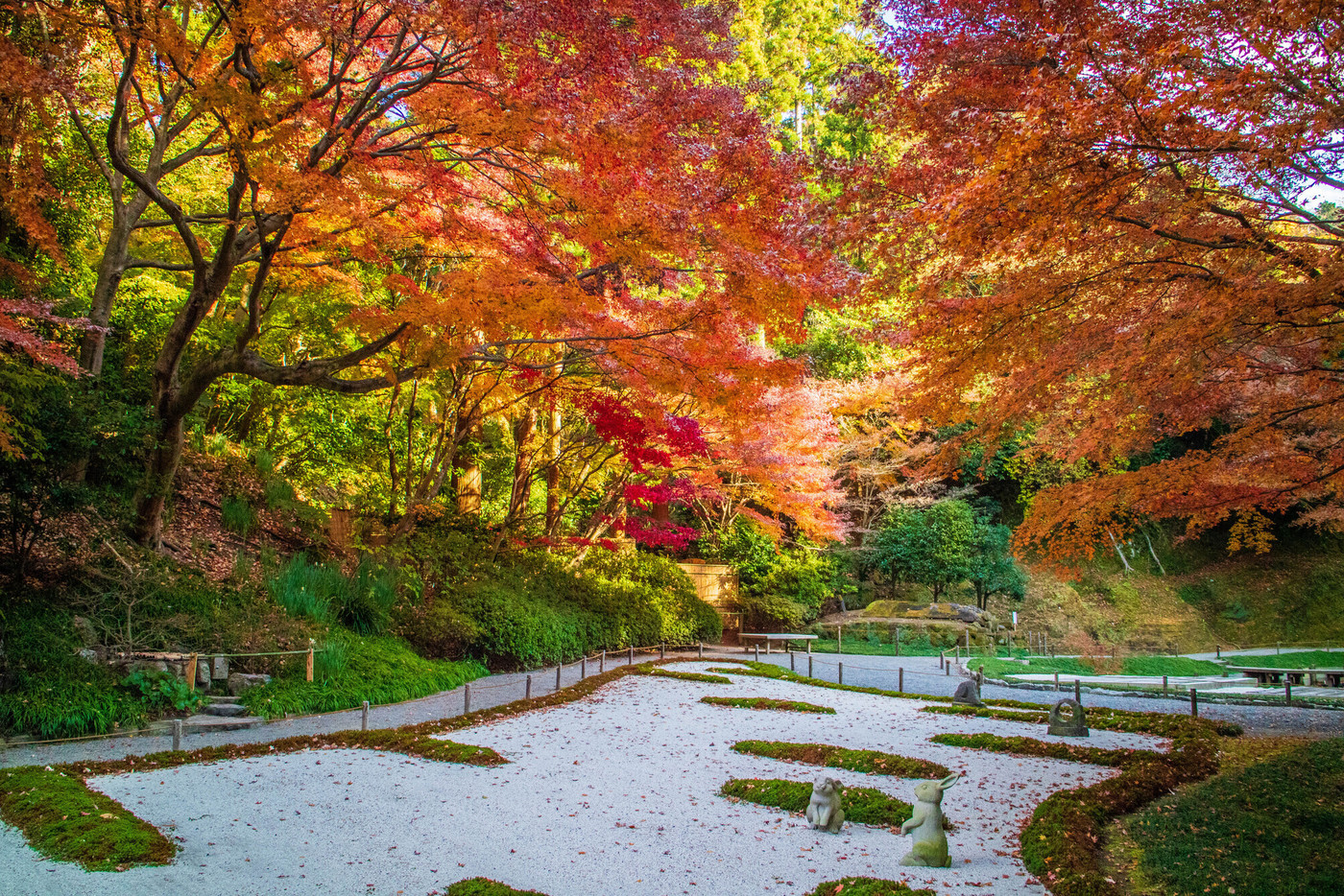 古都鎌倉の秋　紅葉の明月院　後庭園