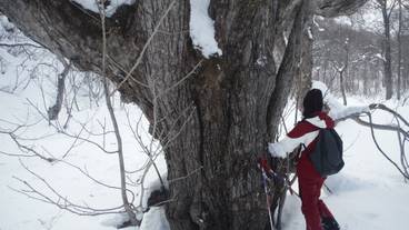 スノーシュー / 11