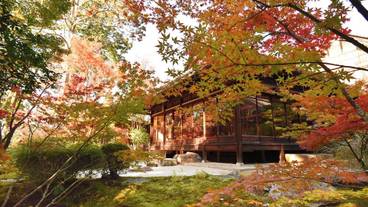 観光スポット / 7