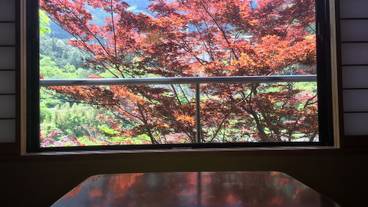 部屋からの景観 / 19