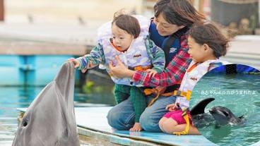 子供向けアクティビティ / 25