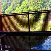 早太郎温泉 山野草の宿 二人静(長野県 旅館) / 4