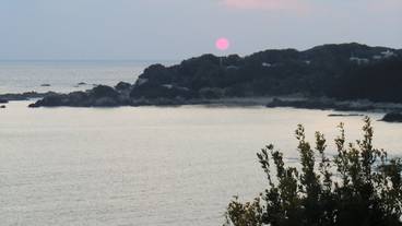 ビーチ / オーシャン ビュー / 3