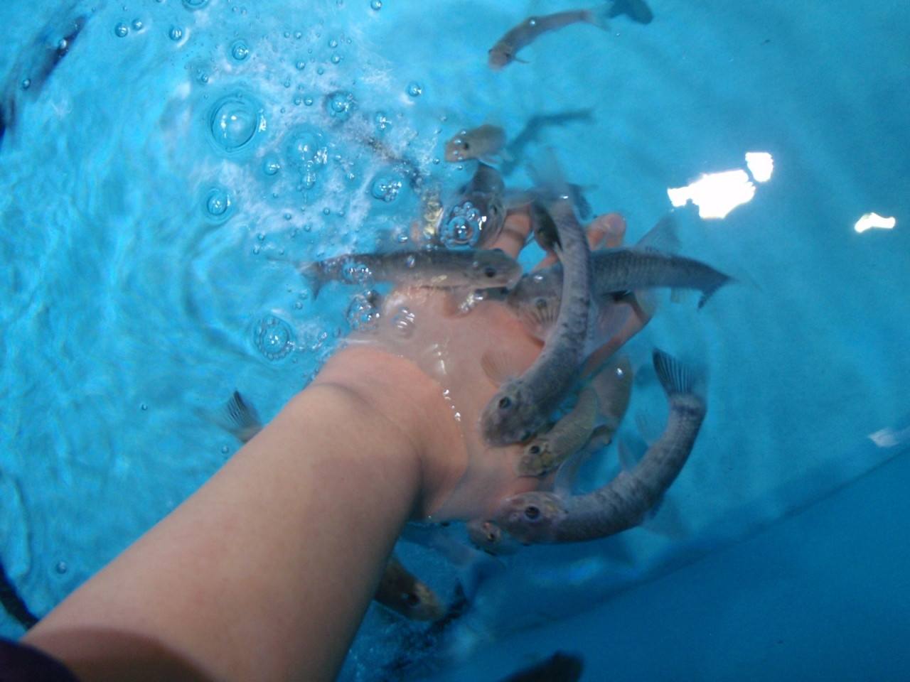 2．北の大地の水族館（山の水族館）／留辺蘂町2980534
