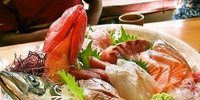 小田原に行ったら入りたい！小田原駅東口のオススメ居酒屋7選