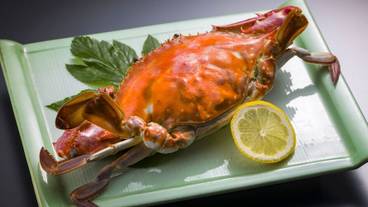 食事・飲み物 / 22