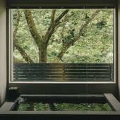 TEF TANIGUMI（岐阜県 別荘・ヴィラ・コンドミニアム） / 3