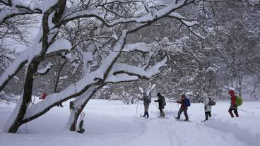 スノー スポーツとスキー / 2