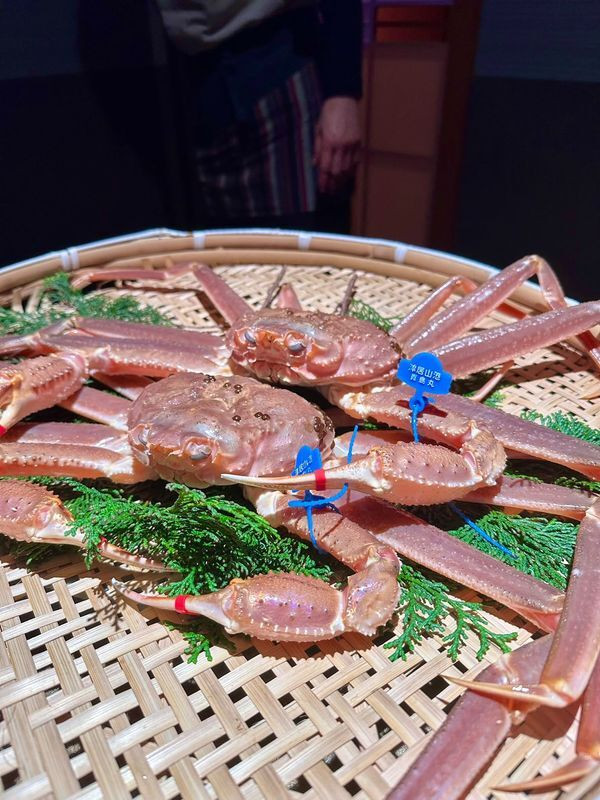 mipopo030さんの写真 / 1