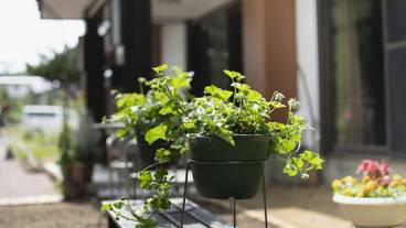 バルコニー / 40