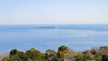 ビーチ / オーシャン ビュー / 2