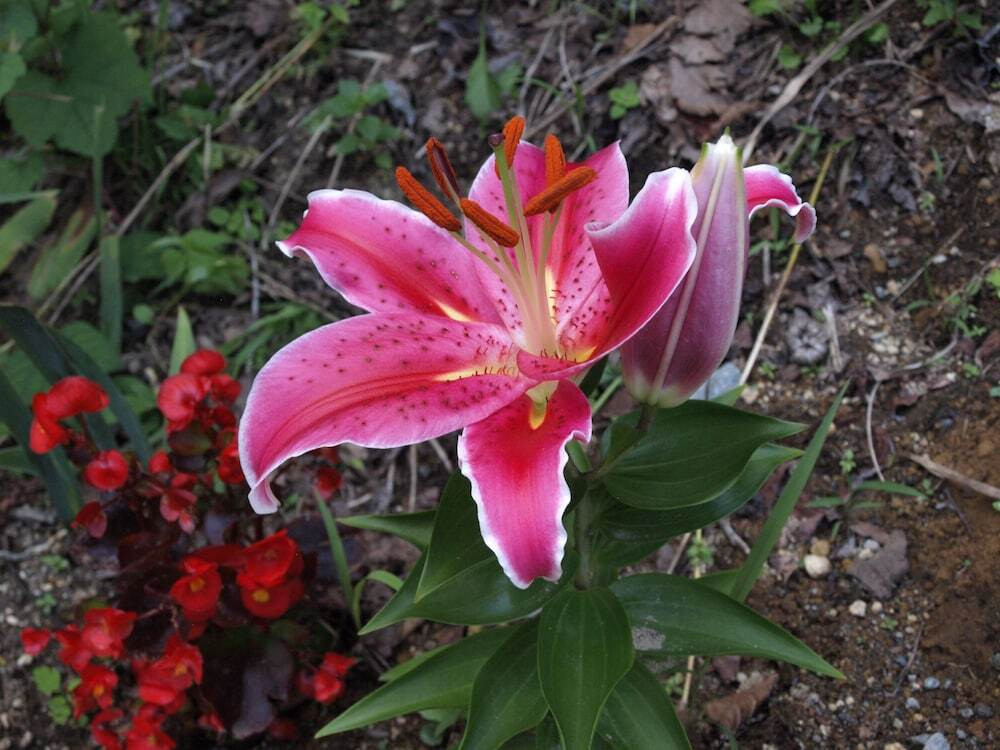 施設からの眺望