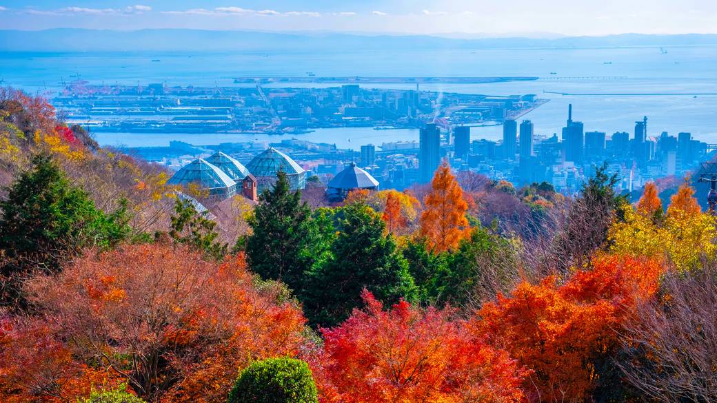 神戸布引ハーブ園 / 2