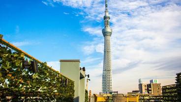 メイン イメージ / 1