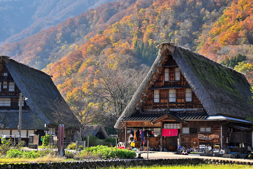 JR　高山駅 東口 （乗鞍口） 夜景