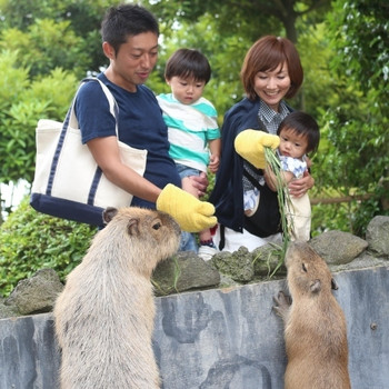 「伊豆高原」で叶う♡家族みんなが笑顔になれる温泉旅行4244252