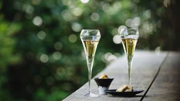 シャンパンのフリーフロー / 1