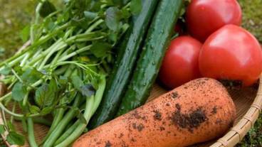 食事・飲み物 / 35