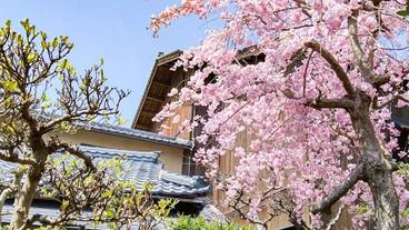 日本庭園 / 19
