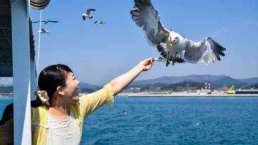 子供向けアクティビティ / 19