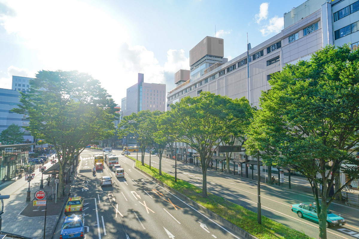 仙台駅前の街路樹