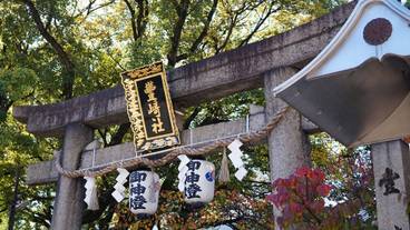 観光スポット / 9