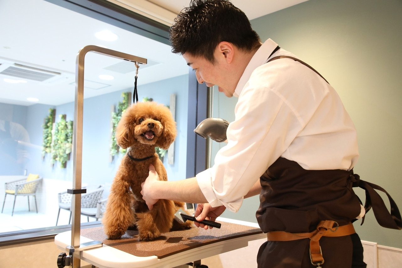 シャンプー＆グルーミングもできる♪愛犬と一緒に食事も！4245403